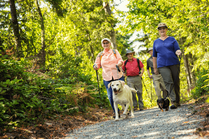 Two Dogs Two Women and Two Men Walking on a Trail in the Forest