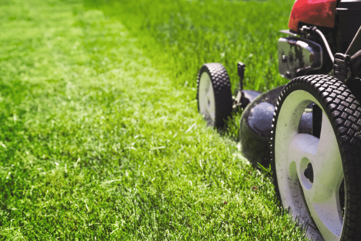 Lawn mower cutting green grass