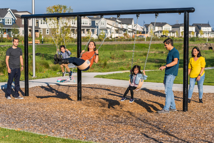 Swings at Reed's Crossing